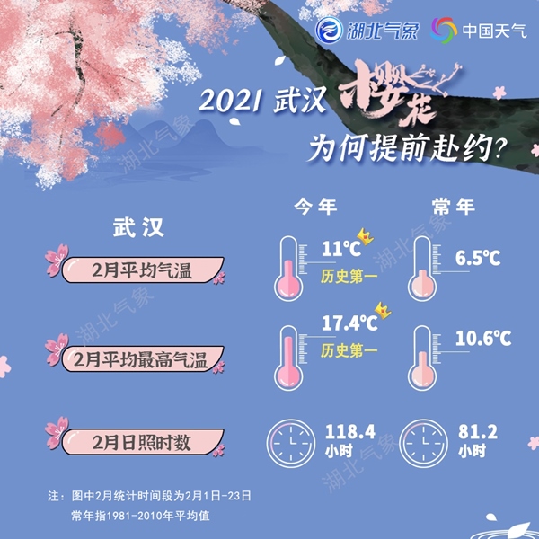                     2021年武汉樱花预报出炉 今年提前绽放花期偏长                    3