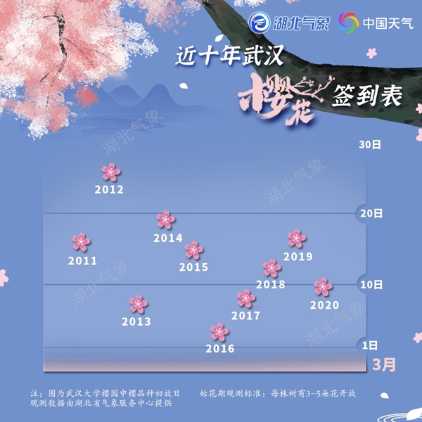                     2021年武汉樱花预报出炉 今年提前绽放花期偏长                    2