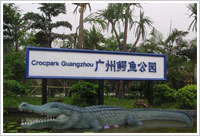 广州鳄鱼公园
