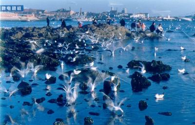 青岛第一海水浴场