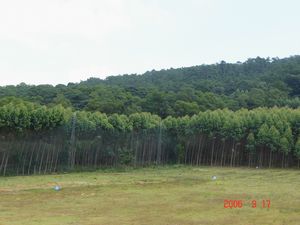 潮州红山森林公园