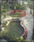 上海植物园展览温室馆