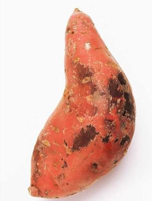吃黑斑红薯会中毒（图片来源于百度搜索）