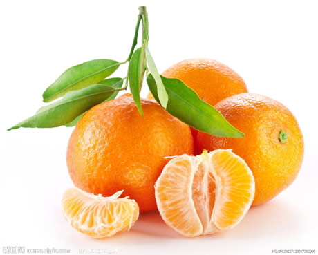 橘子（图片来源于昵图网）