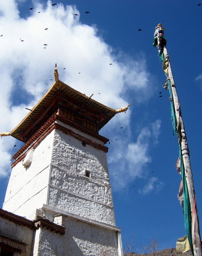 西藏山南赛卡古托寺