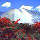 攀枝花兰家火山旅游天气