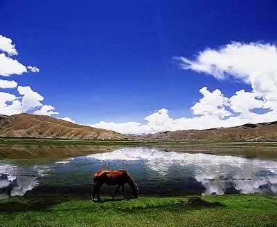 西藏日喀则聂拉木县