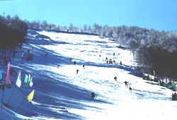 张家口塞北滑雪场