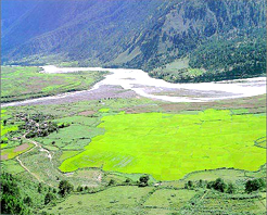 西藏林芝察隅自然保护区