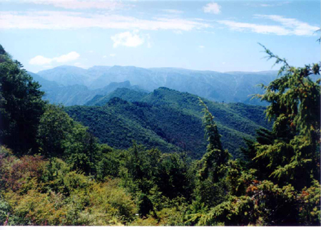 西安老县城自然保护区