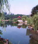 淄博玉黛湖庄园