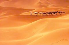克拉玛依驼铃梦坡沙漠公园