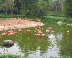 兴隆热带海洋动物园