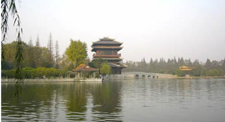 上海嘉定叶池