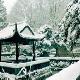 滁州清流瑞雪旅游天气