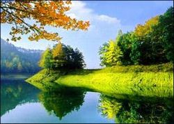 杭州千岛湖国家森林公园